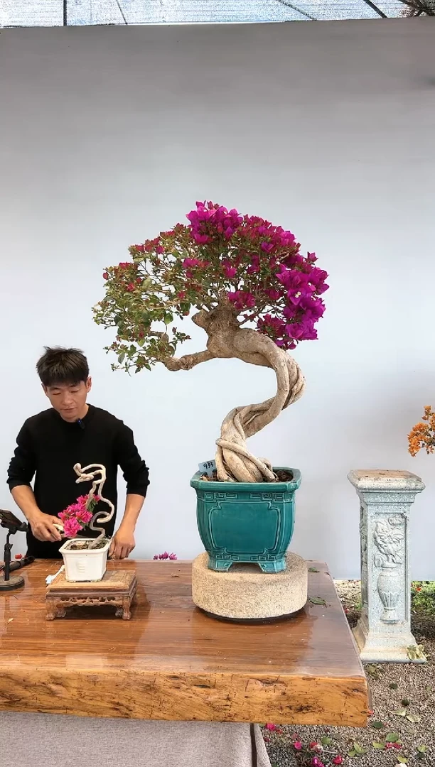 【闪购商品】aa933