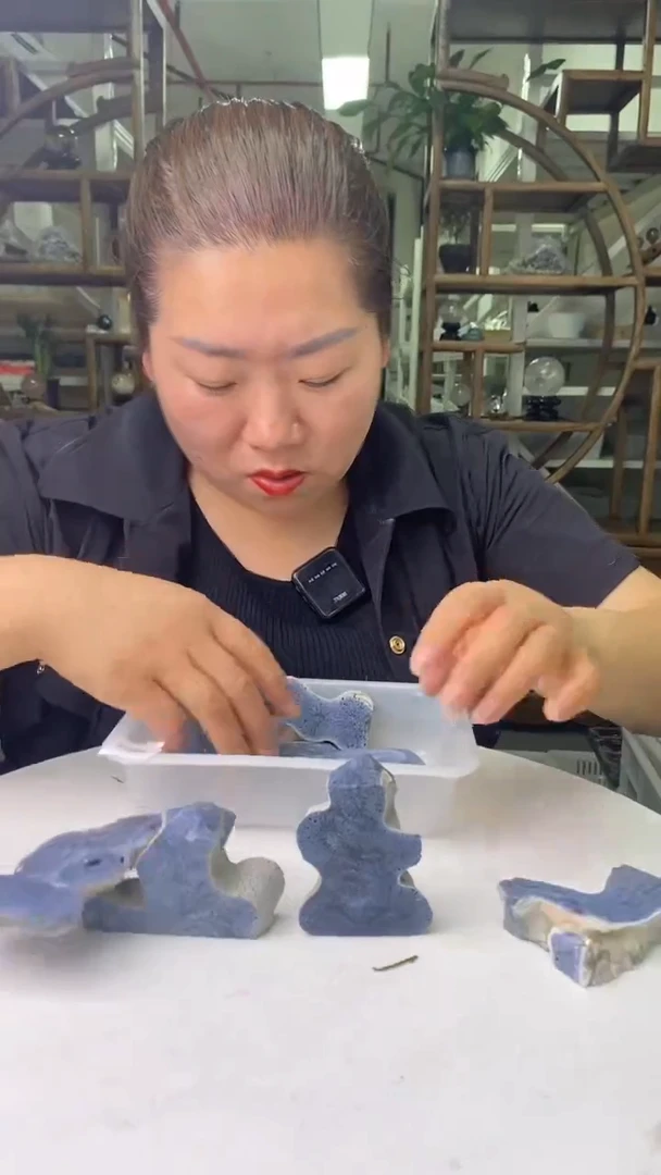 硅化珊瑚（珊瑚玉）原石未镶嵌珊 瑚玉D39多样性发其一