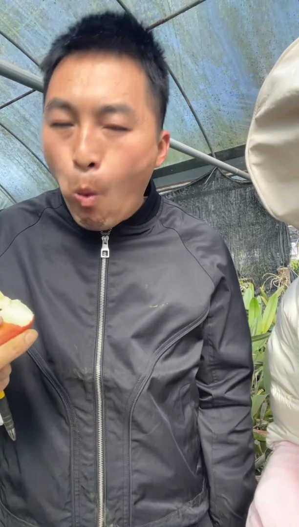 完全开放蓝锡金卡特兰