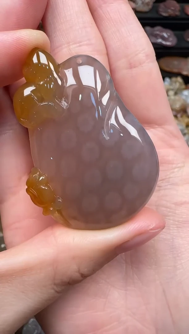 颈饰未镶嵌硅化珊瑚（珊瑚玉）373