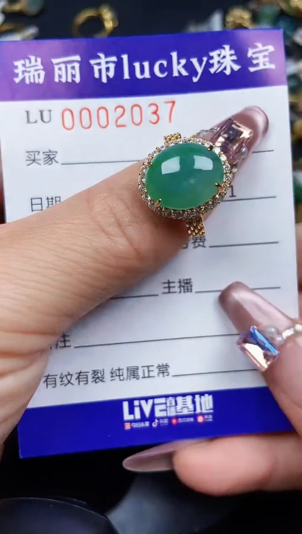 翡翠银S925镶嵌颈饰2037