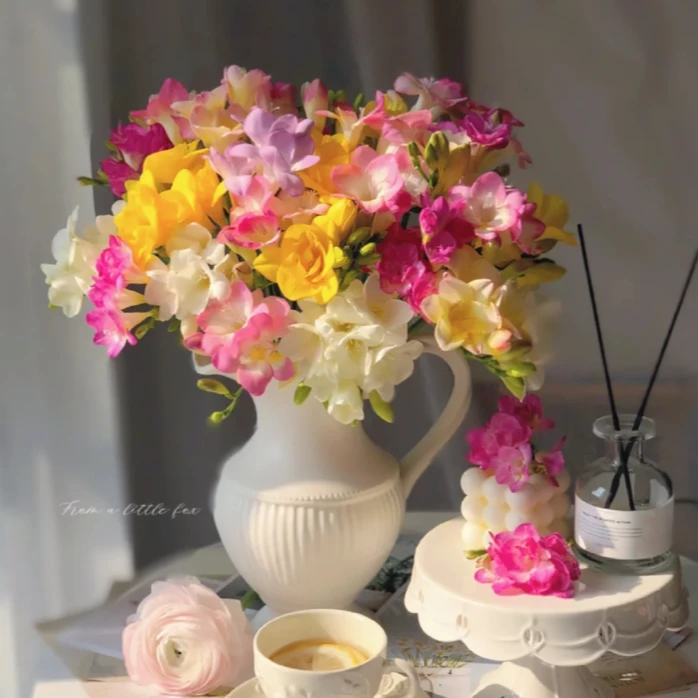 【探花甄选】香雪兰 云南基地直发 任意购浪漫七夕礼