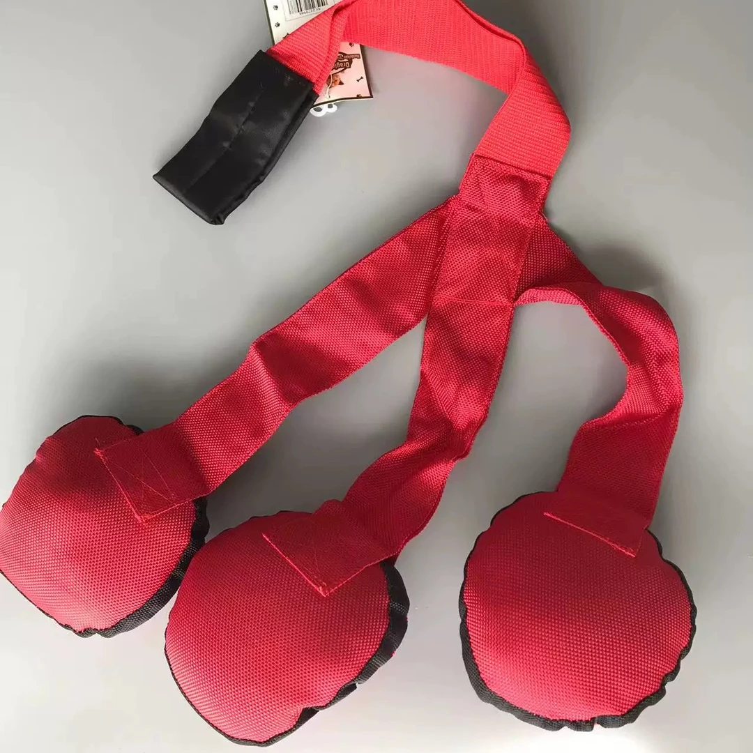 宠物玩具磨牙洁齿互动超大号防水防撕扯大型犬玩具