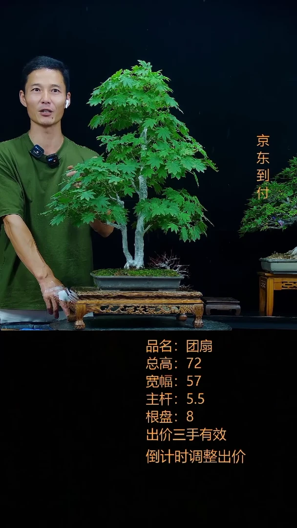无花朵雨*00000000