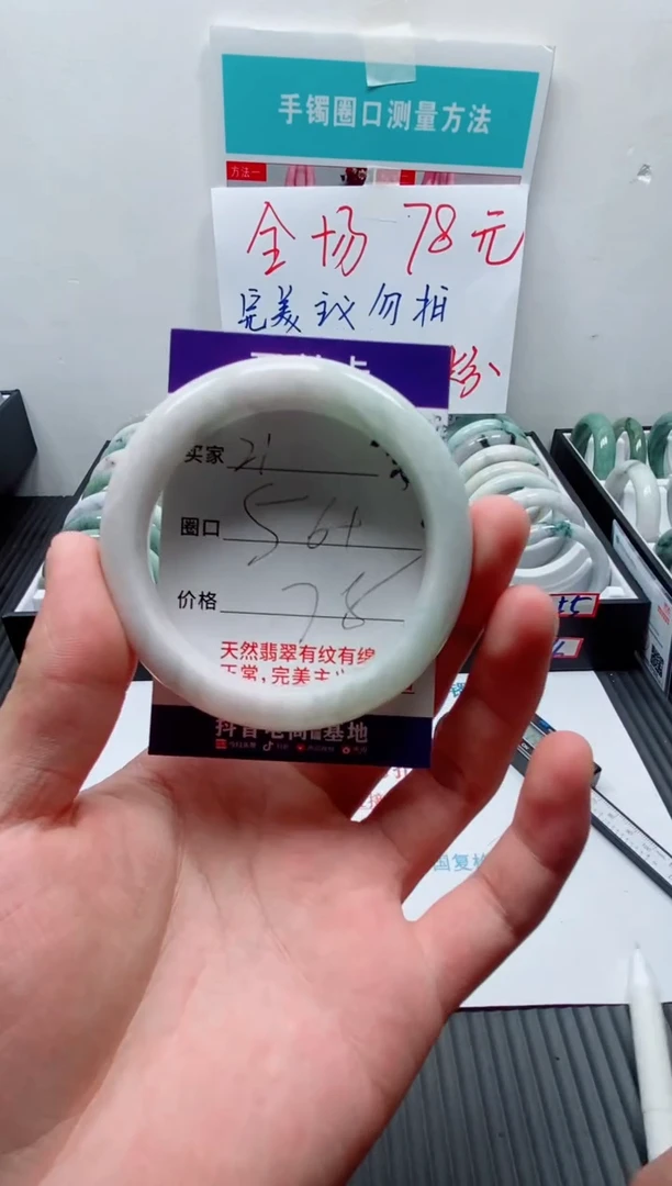未镶嵌手镯翡翠21