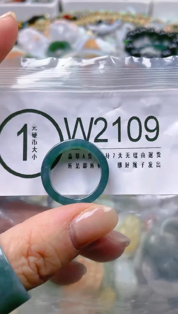 【闪购商品】翡翠颈饰未镶嵌19/W/翡翠A货一图一物