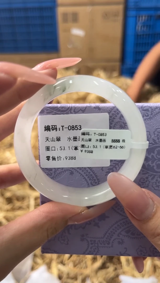 未镶嵌手镯石英质玉T0853