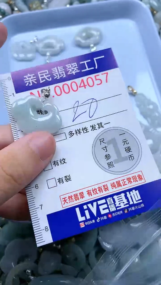 翡翠未镶嵌吊坠(不含链)5057