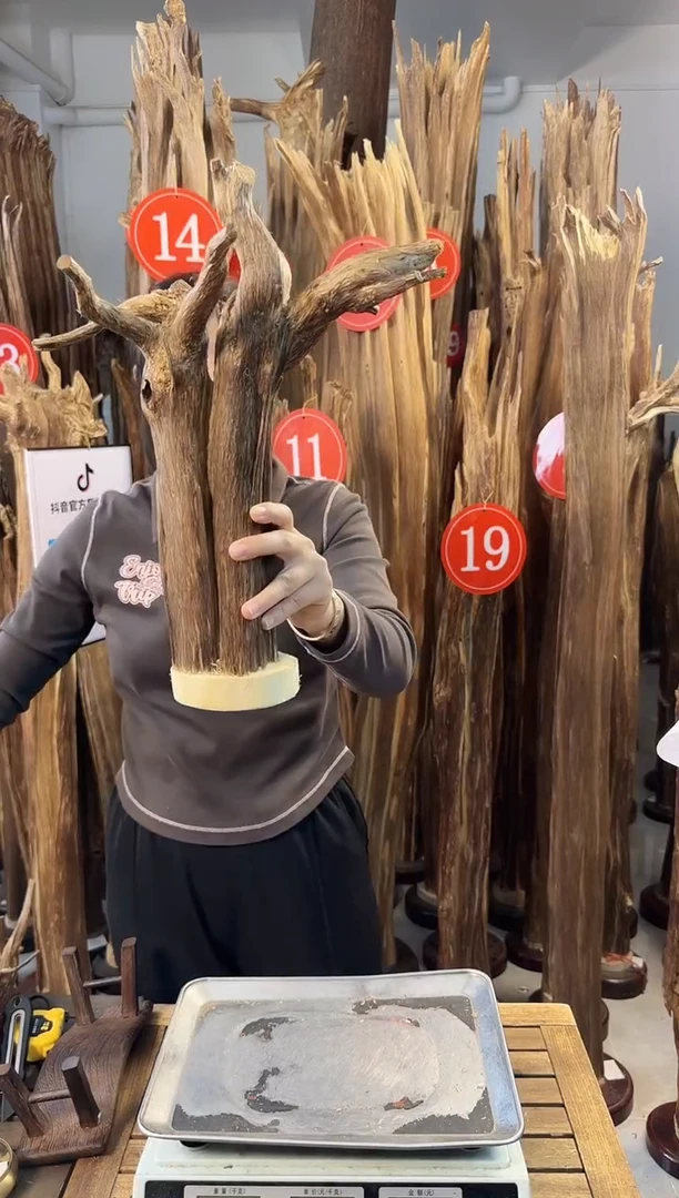 【闪购商品】沉香摆件 沉香摆件多样性发一件39