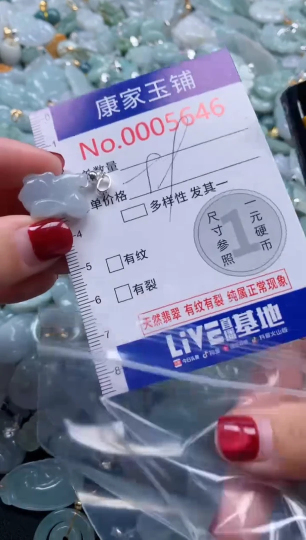 颈饰未镶嵌翡翠5646