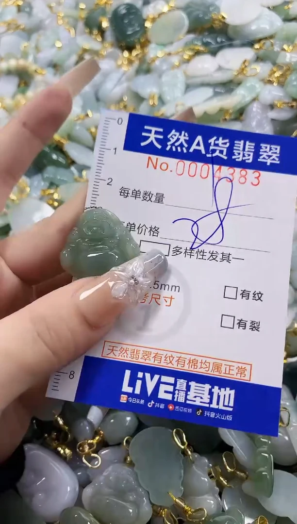 颈饰未镶嵌翡翠天然A货翡翠