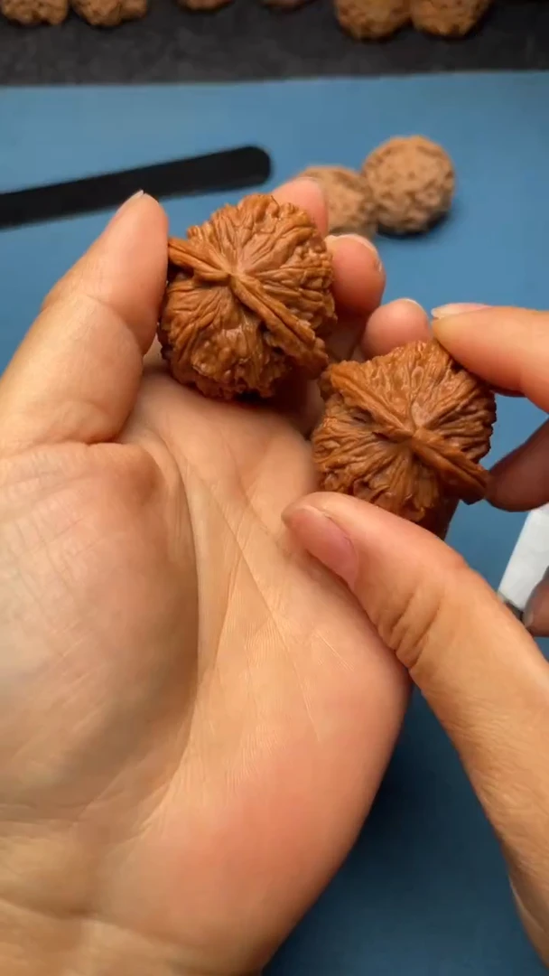 桃核把件w99  白狮子 38尺