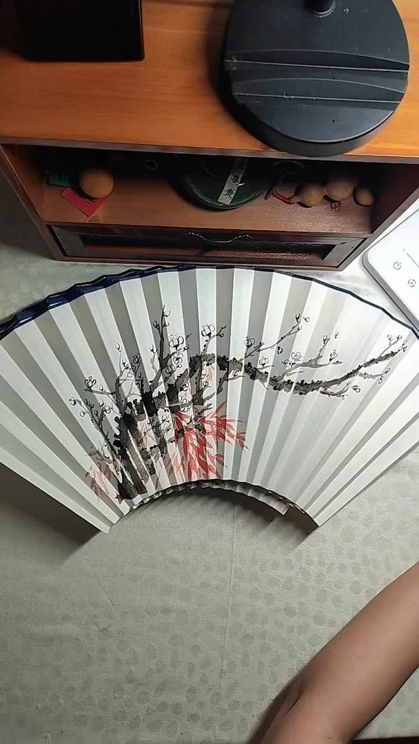 18方扇面白梅红竹