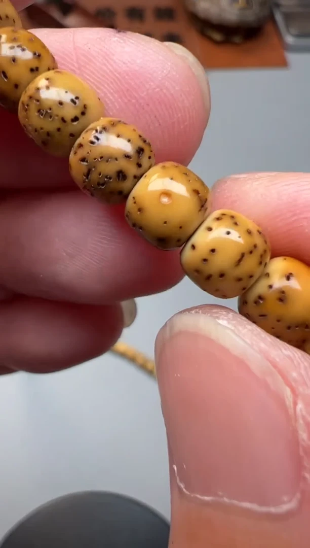 星月菩提手串精品文玩手串一条