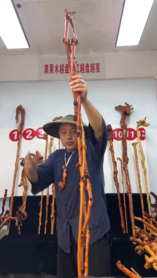 黑果木其他黑果木526