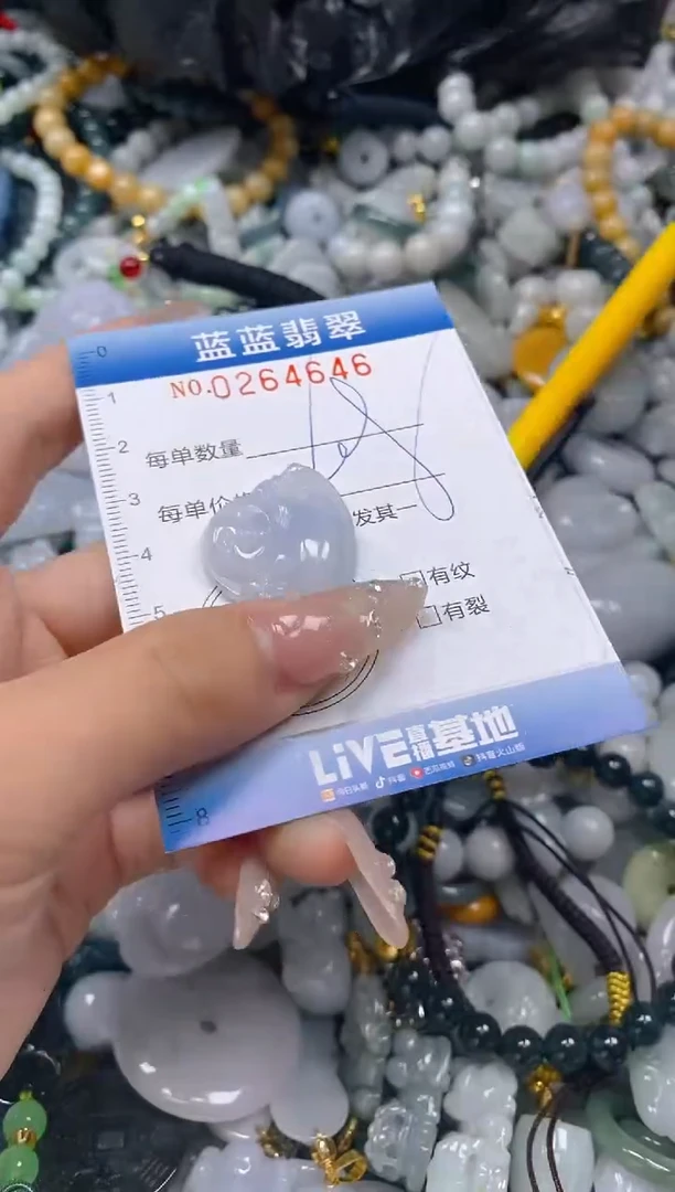 翡翠未镶嵌颈饰闪购0264646