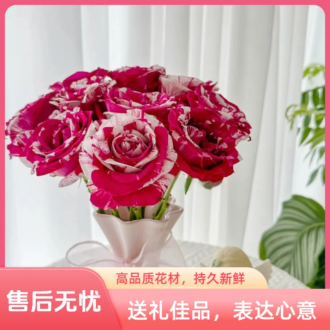 【专享·丽江】水瓶座玫瑰10枝 云南鲜花任意花材两单顺丰空运