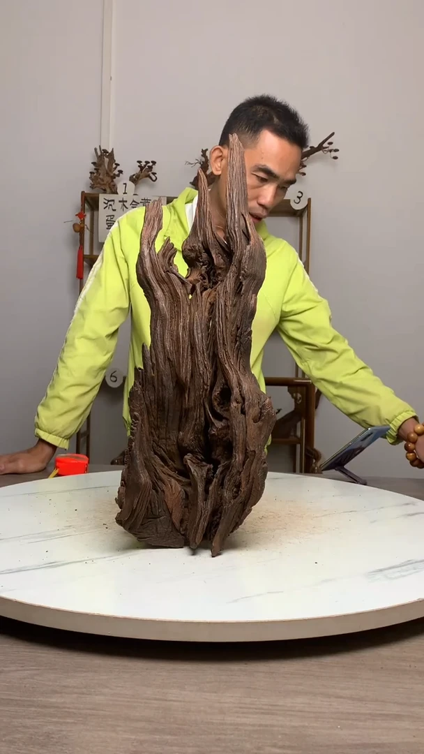 張***鱼缸造景沉木摆件