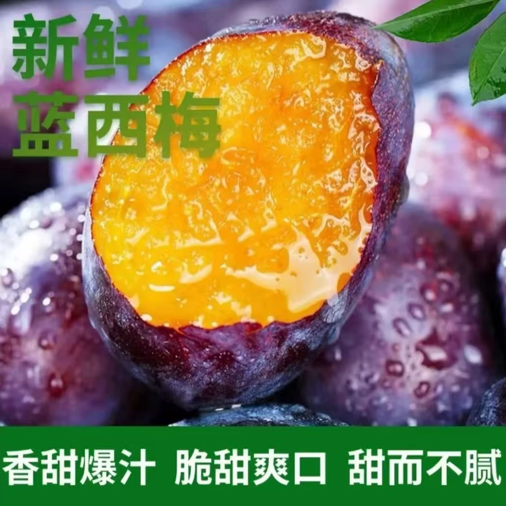 【放软再吃】新鲜现摘大西梅鲜果正宗西梅西梅酸甜可口