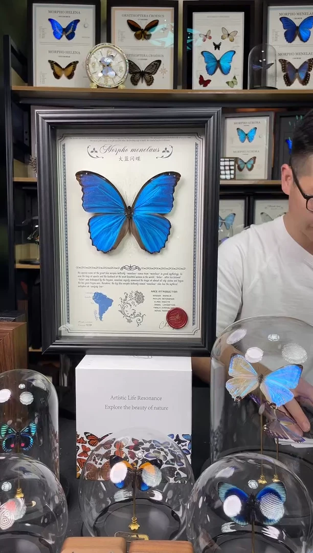 微瑕 大蓝闪蝶-豪华版【A4欧式框】