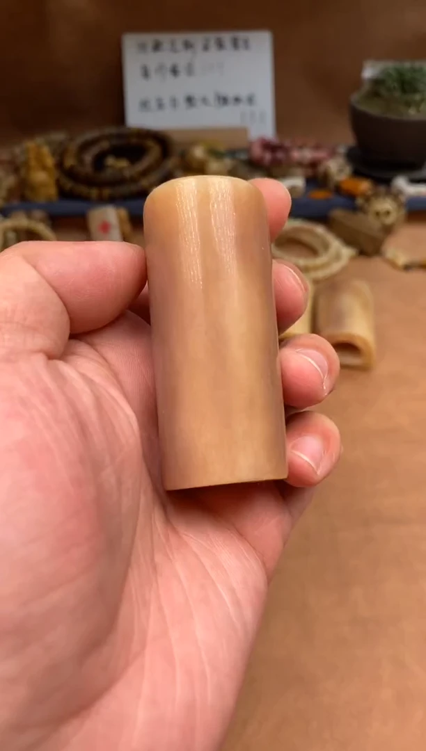 【闪购商品】驼骨其他驼骨定向V351