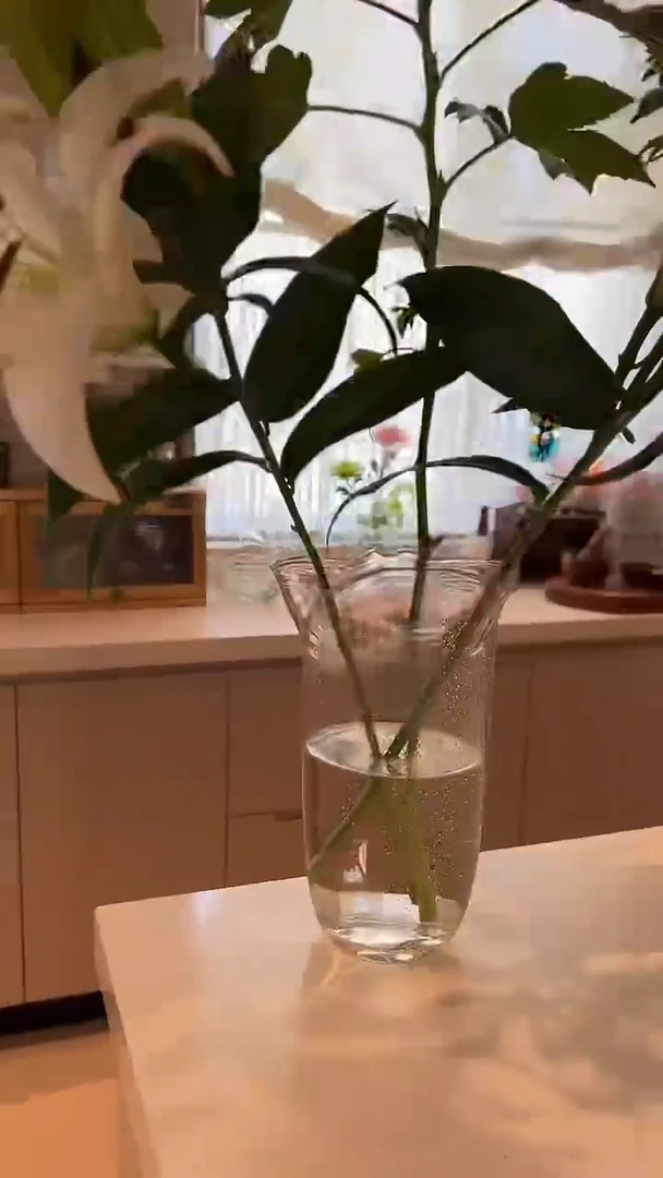 茶道摆件0000日本花口玻璃花器8012
