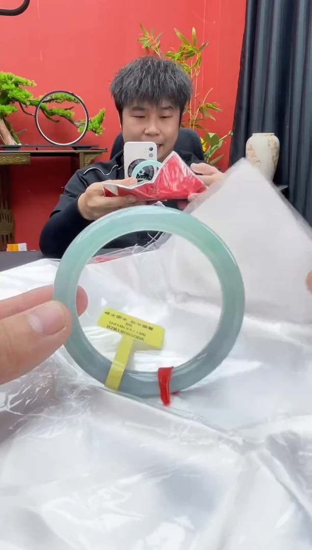 未镶嵌手镯翡翠14