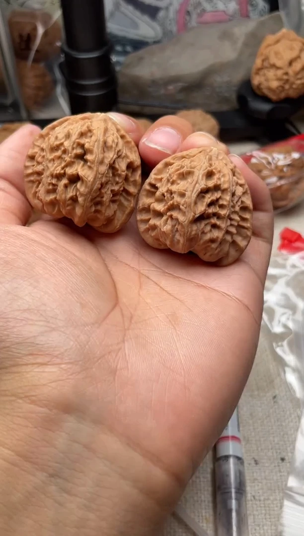 把件文玩核桃用****51203- 用户4763785247855-角白