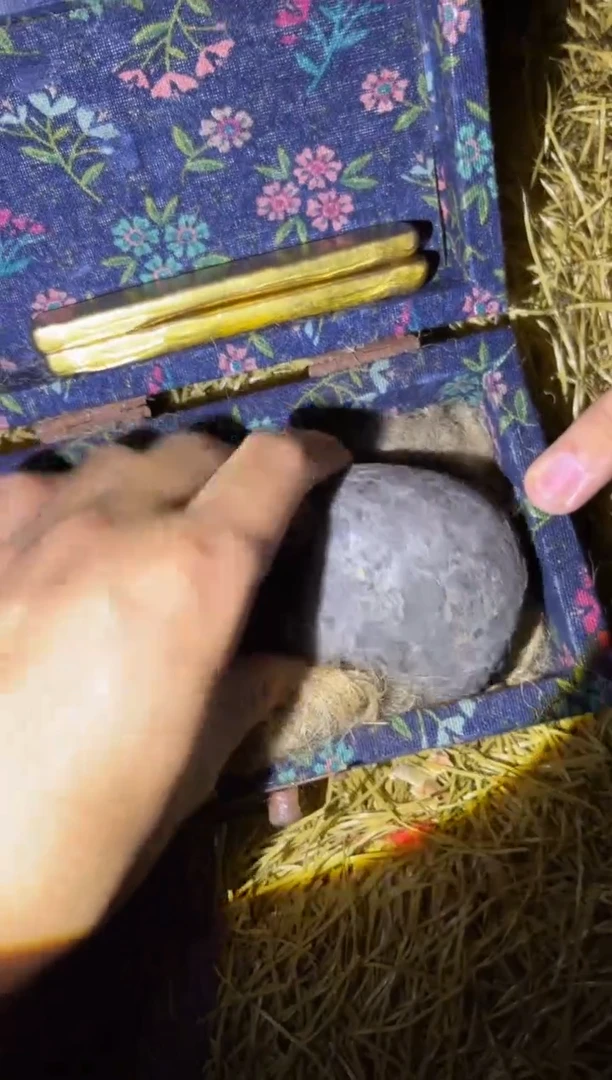 瓷片琪琪专属链接安安安安安安