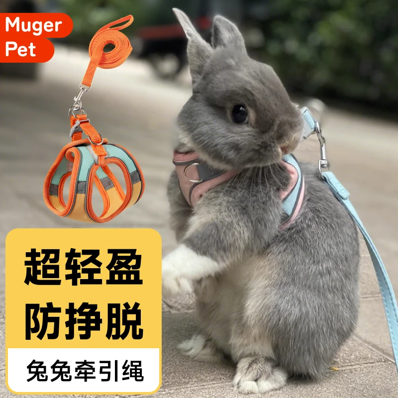 兔子牵引绳遛兔子专用防挣脱荷兰猪侏儒兔遛兔绳神器宠物牵兔绳