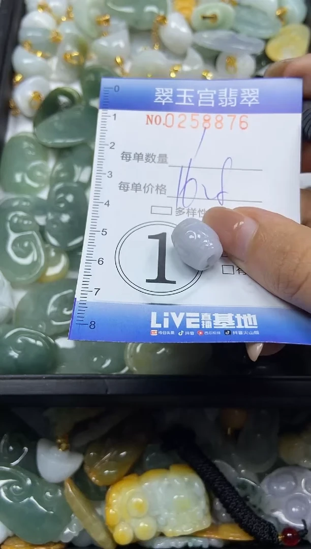 颈饰未镶嵌翡翠闪购C0258876