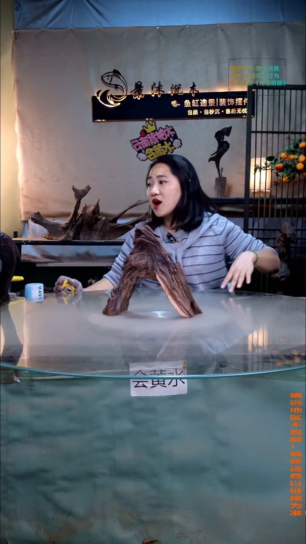 景沐沉木M497 25-9-24