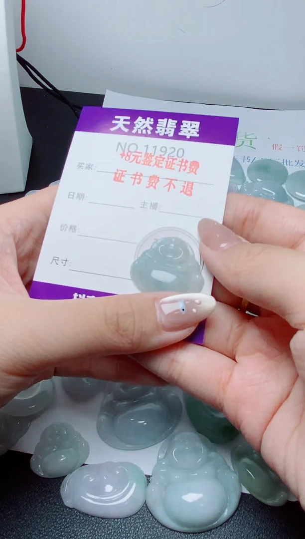 翡翠未镶嵌吊坠(不含链)011