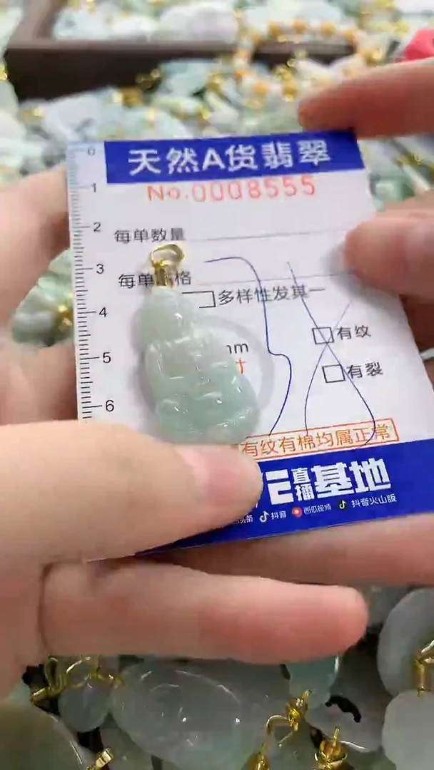 颈饰未镶嵌翡翠天然A货翡翠