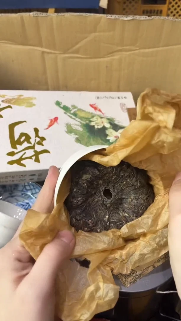 瓷片许***光880 许一缕阳光 许一缕阳光石斛