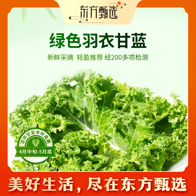 东方甄选自营羽衣甘蓝青菜当季新鲜蔬菜沙拉榨汁火锅食材
