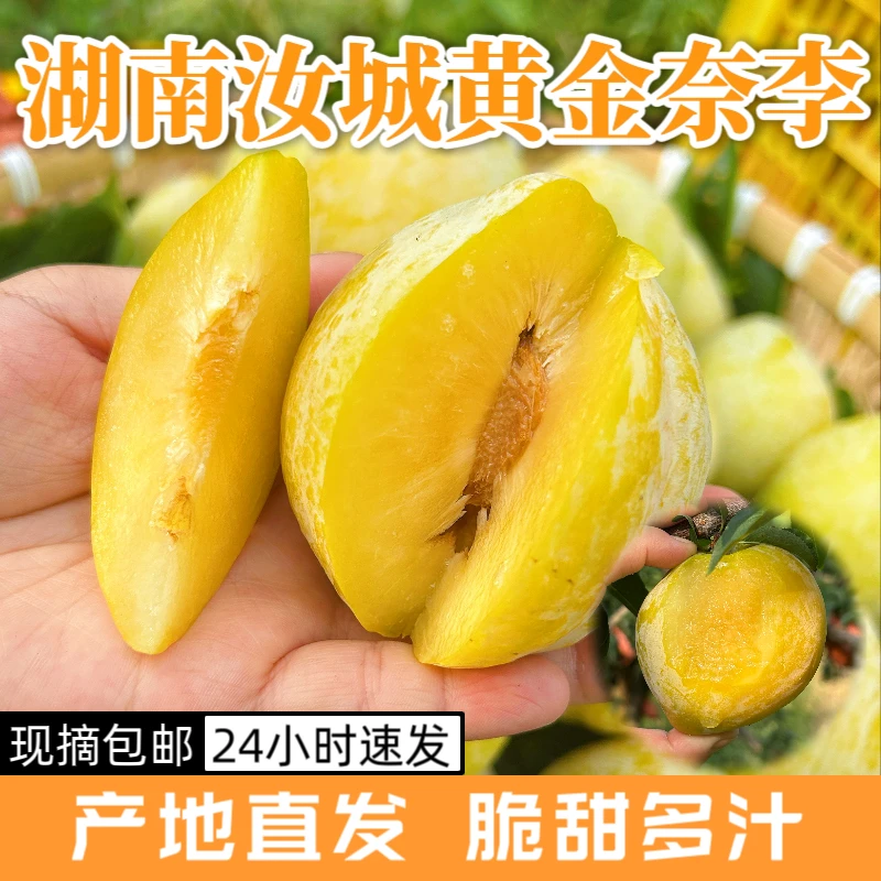 【京东速发】湖南汝城黄金奈李现摘现发应季水果甜脆多汁脱骨爽口