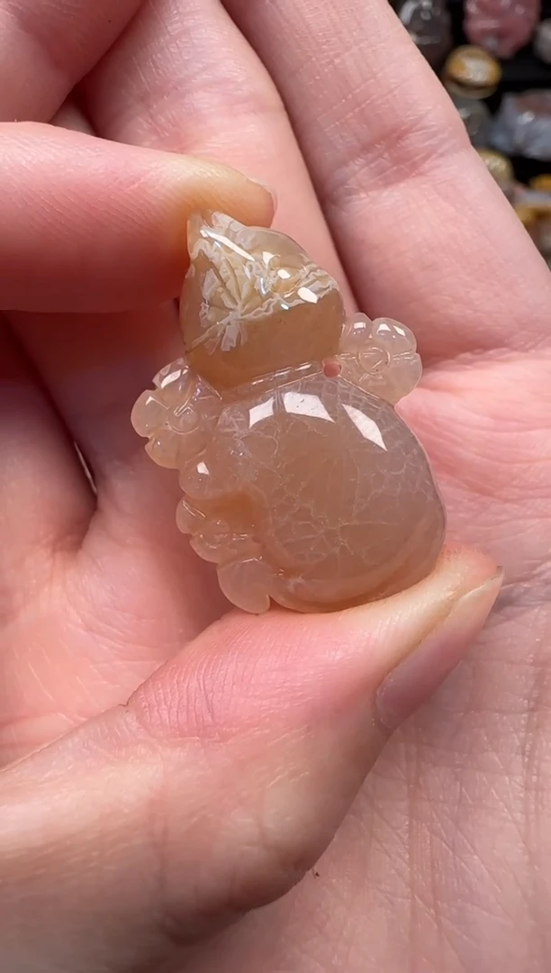 颈饰未镶嵌硅化珊瑚（珊瑚玉）832