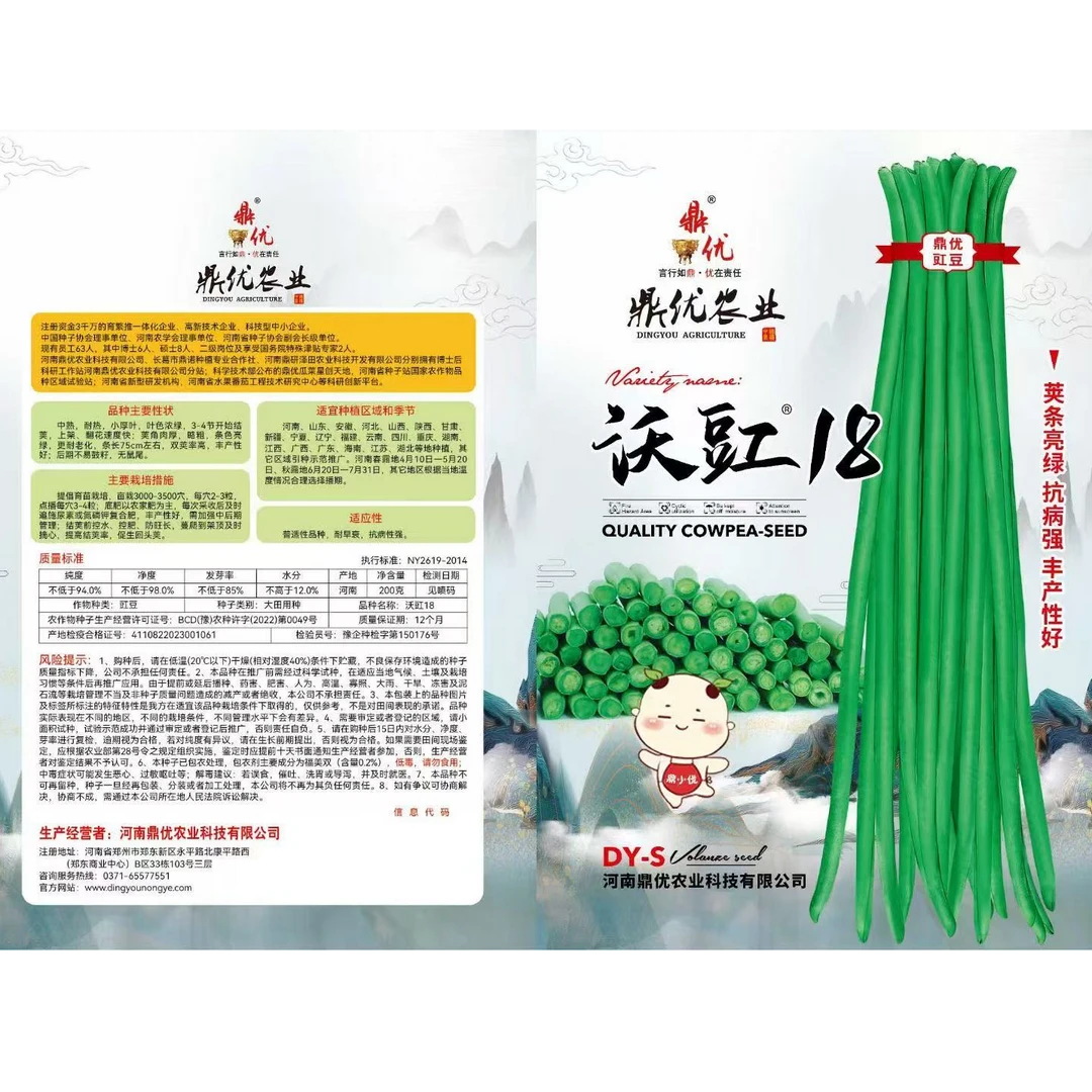 沃豇18 白籽白花耐高温 中熟厚肉长荚 耐老化高产200g