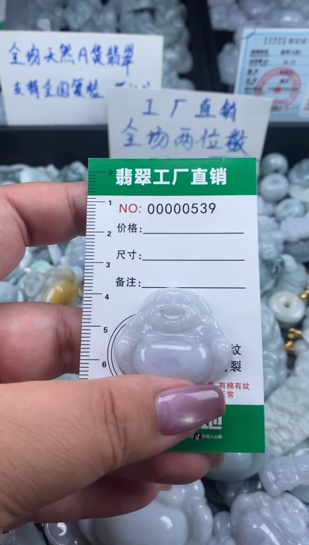 翡翠未镶嵌颈饰天然A货翡翠0539