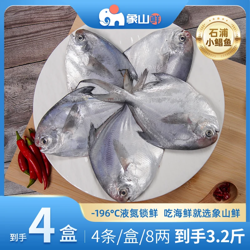 【象山鲜】东海海捕小银鲳鱼液氮锁鲜80g-120g/条白鲳海鲜水产3.2斤