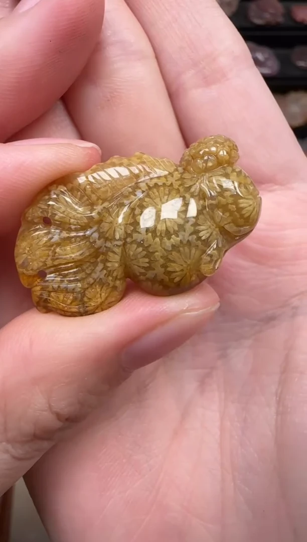 颈饰未镶嵌硅化珊瑚（珊瑚玉）347