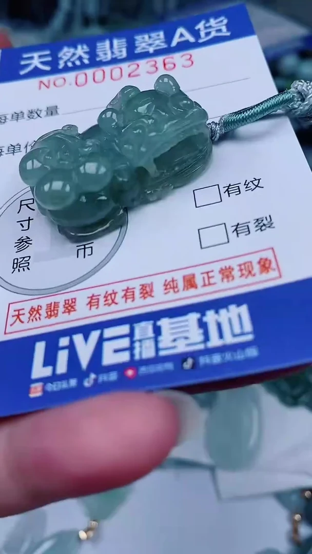 翡翠未镶嵌颈饰00002363