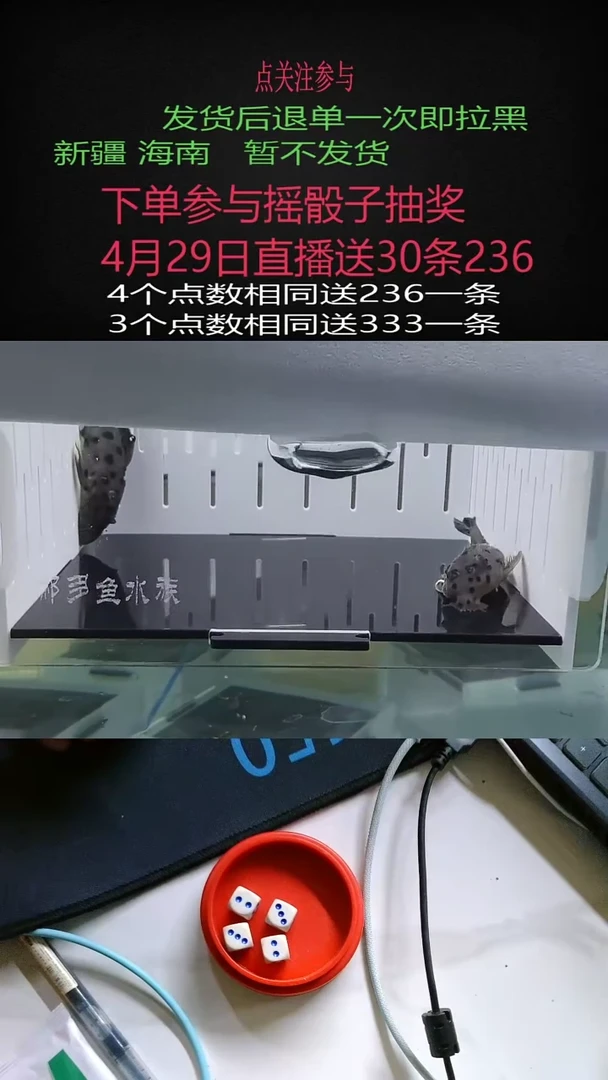 清道夫不包入缸损71