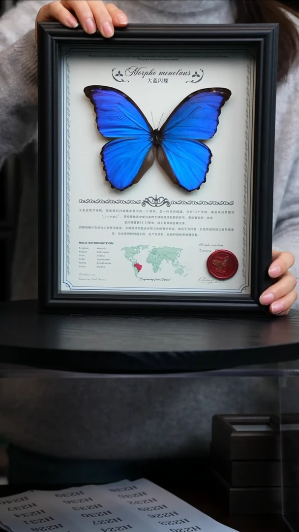 大蓝闪蝶中英文地图款红色火漆印章