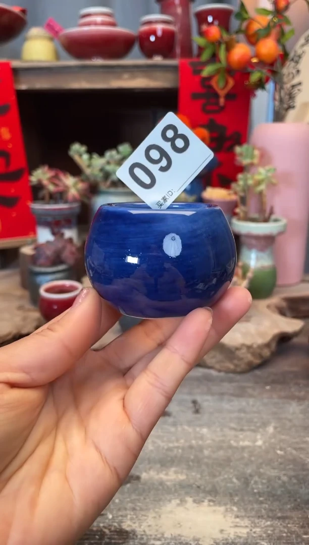 【闪购商品】摆件098知木小芳花盆