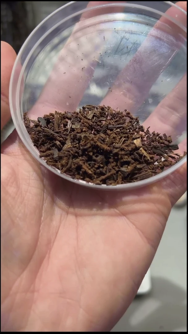 【闪购商品】沉香手把件越南顺化粉2g