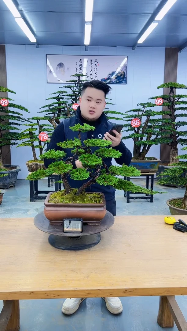 以实际为准00000000