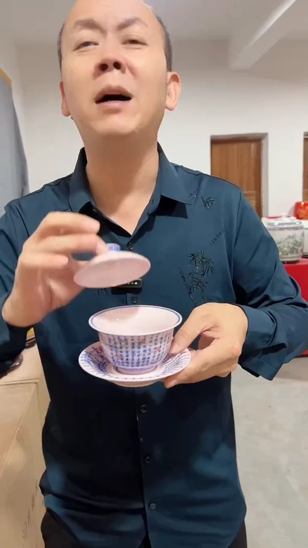 罐景德镇陶瓷盖碗定风波