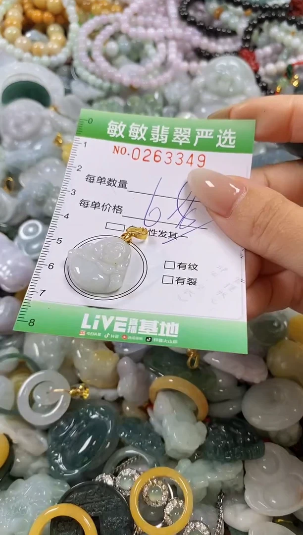 翡翠未镶嵌颈饰闪购0263349多样性发其一